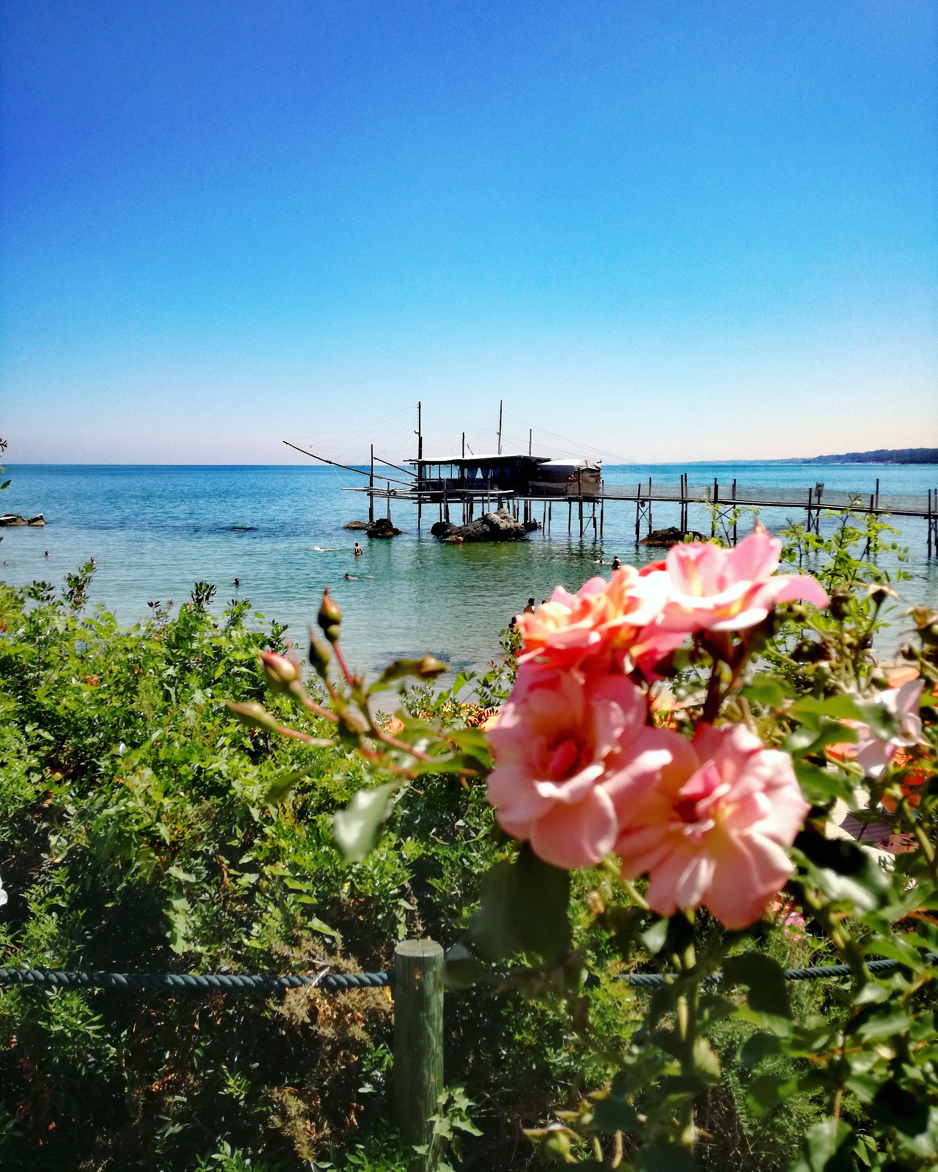 Punta Cavalluccio costa dei trabocchi